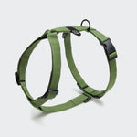 Y-Hundegeschirr Nylon RESC7UE Green