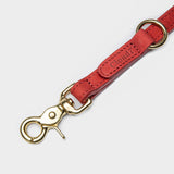 Goldener Karabiner einer roten Lederleine für Hunde