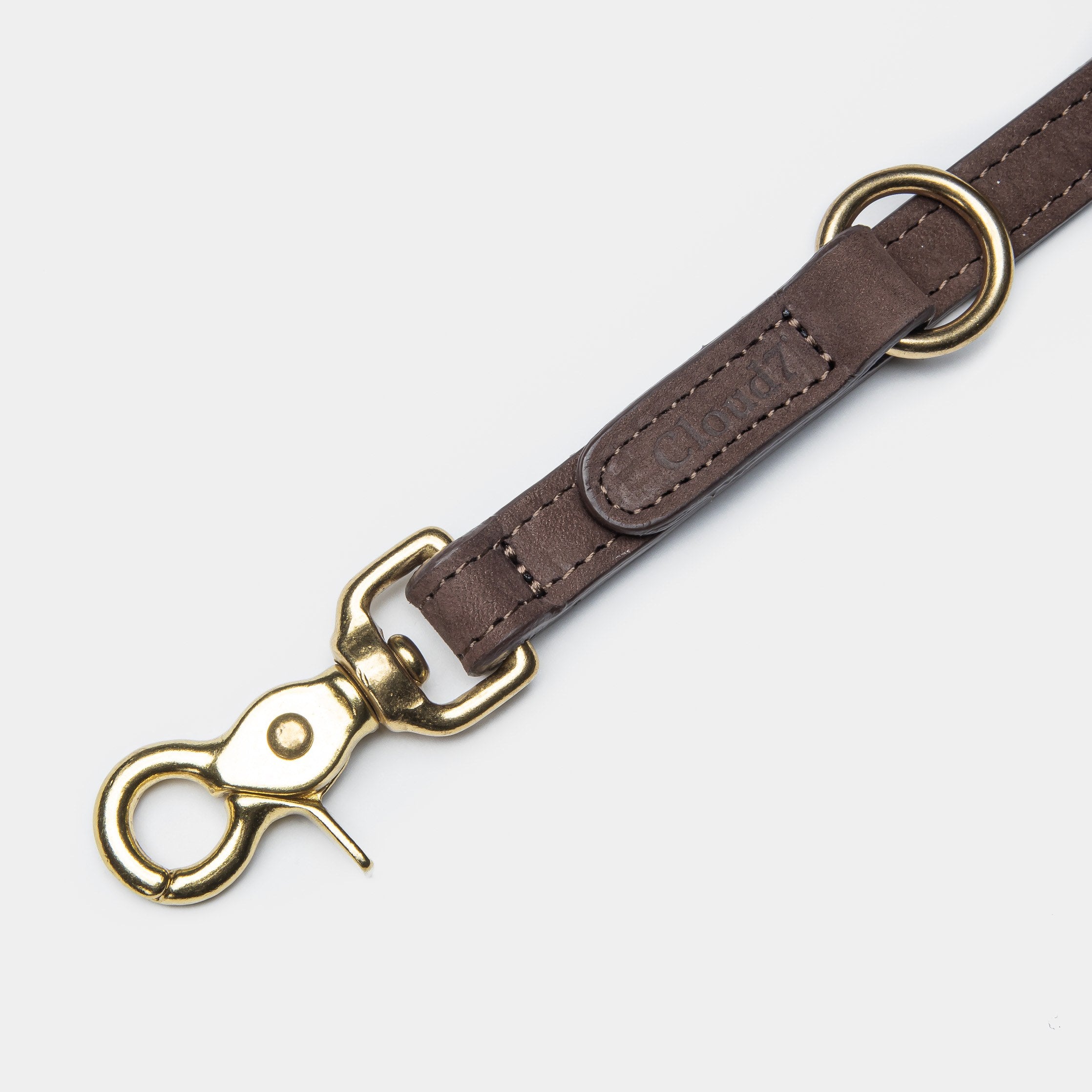 details brown leather leash for dogs with golden metal elements