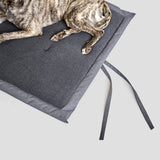 large dog on a dark grey outdoor dog mat