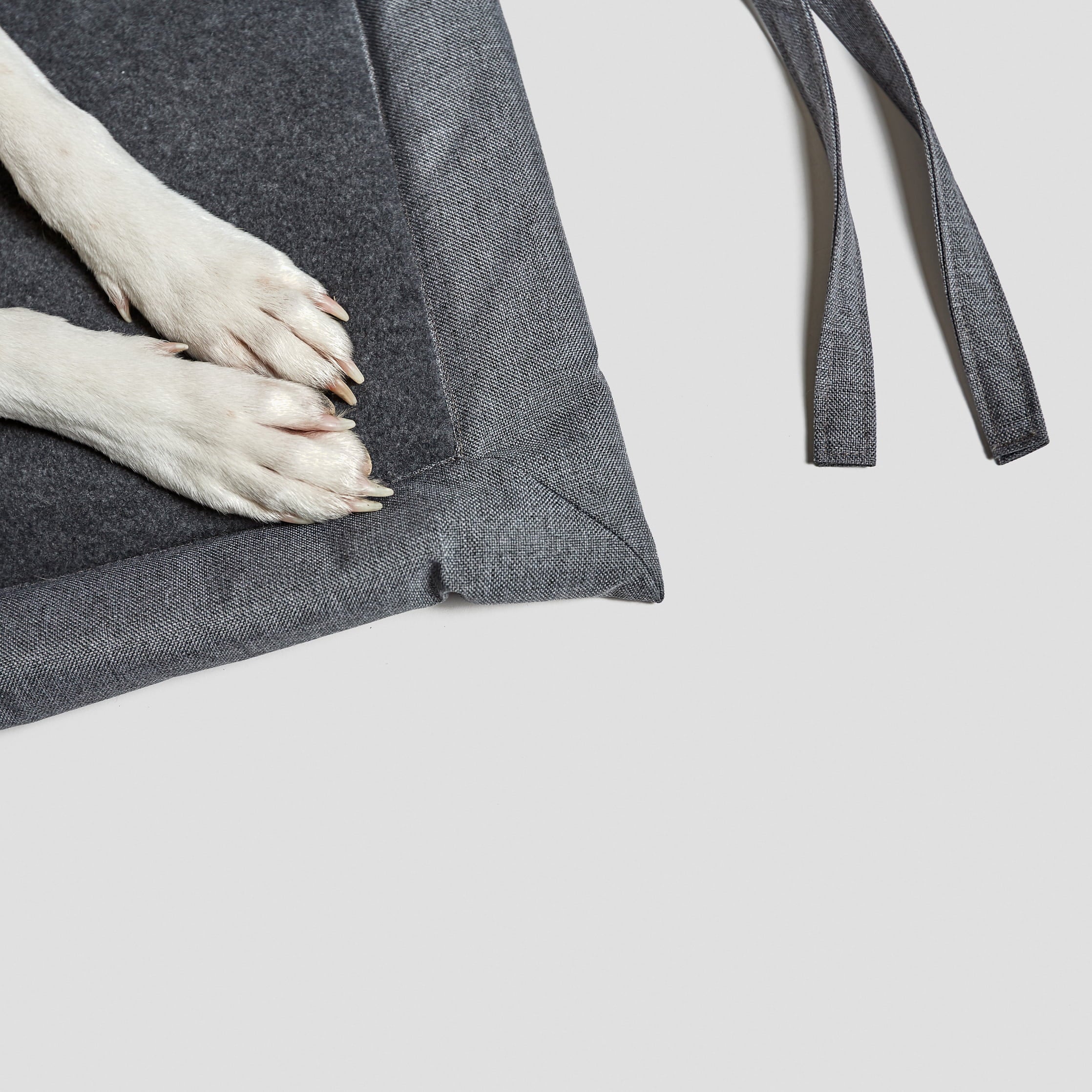 paws on a dark grey fleece dog mat