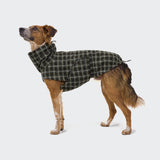 Hundemantel Glasgow Plaid Green