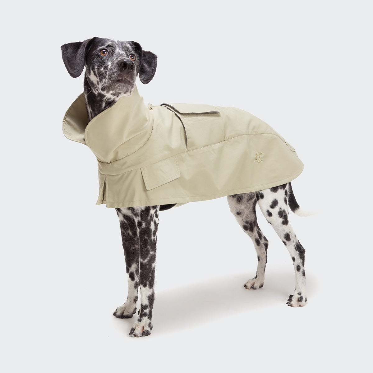 Hunde Trenchcoat Oxford Ivory