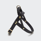 Hundegeschirr Central Park Black Gold