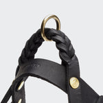 Hundegeschirr Central Park Black Gold