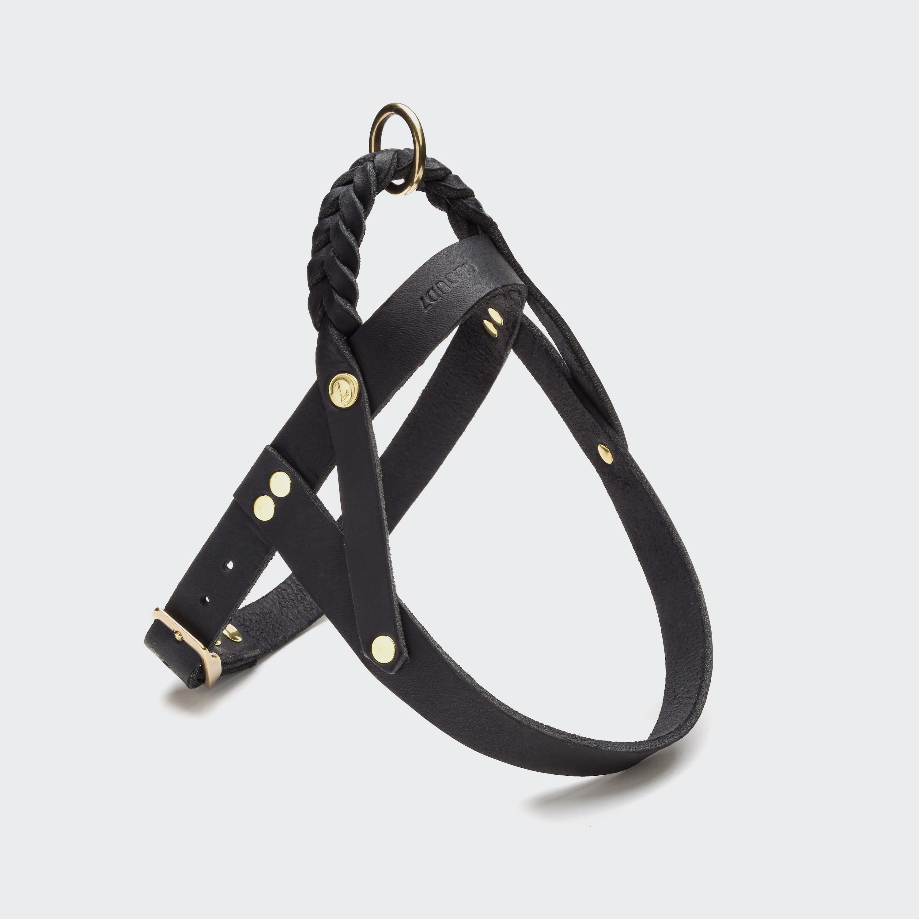 Hundegeschirr Central Park Black Gold