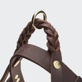 Hundegeschirr Central Park Saddle Brown Gold