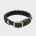 Hundehalsband Central Park Black Gold