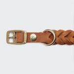 Hundehalsband Central Park Camel Gold