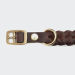 Hundehalsband Central Park Saddle Brown Gold