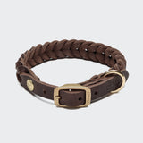 Hundehalsband Central Park Saddle Brown Gold