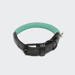 Hundehalsband Mauerpark Aqua
