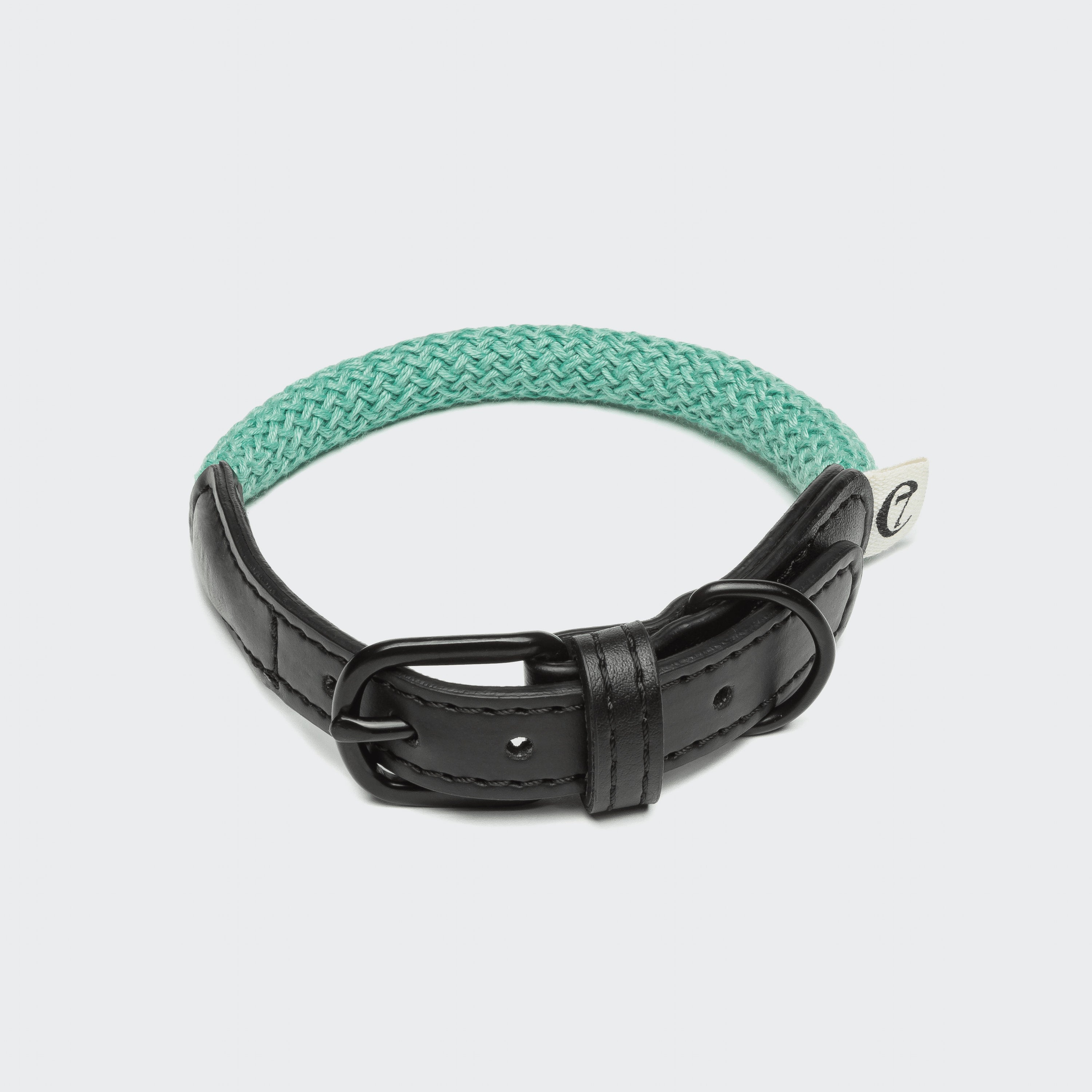 Hundehalsband Mauerpark Aqua