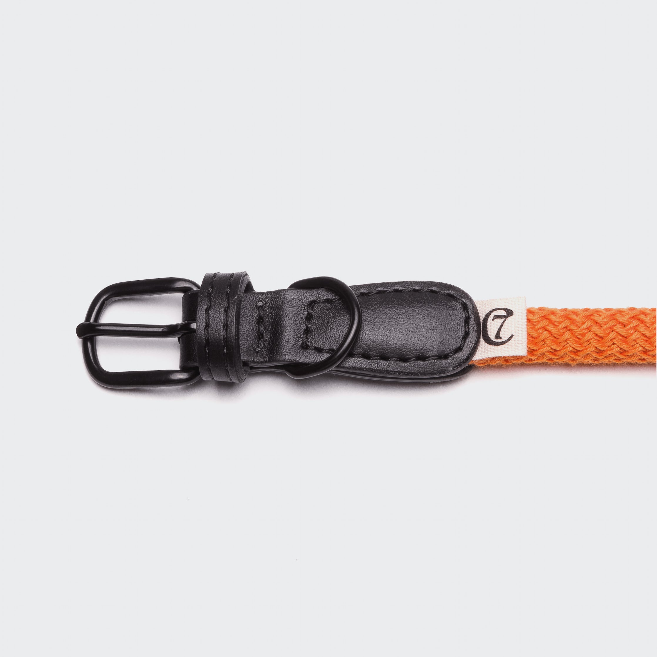 Hundehalsband Mauerpark Orange