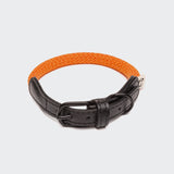 Hundehalsband Mauerpark Orange