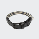 Hundehalsband Mauerpark Zigzag Black