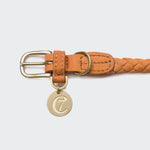 Hundehalsband Ravello Pumpkin