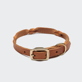 Hundehalsband Riverlino Camel Gold