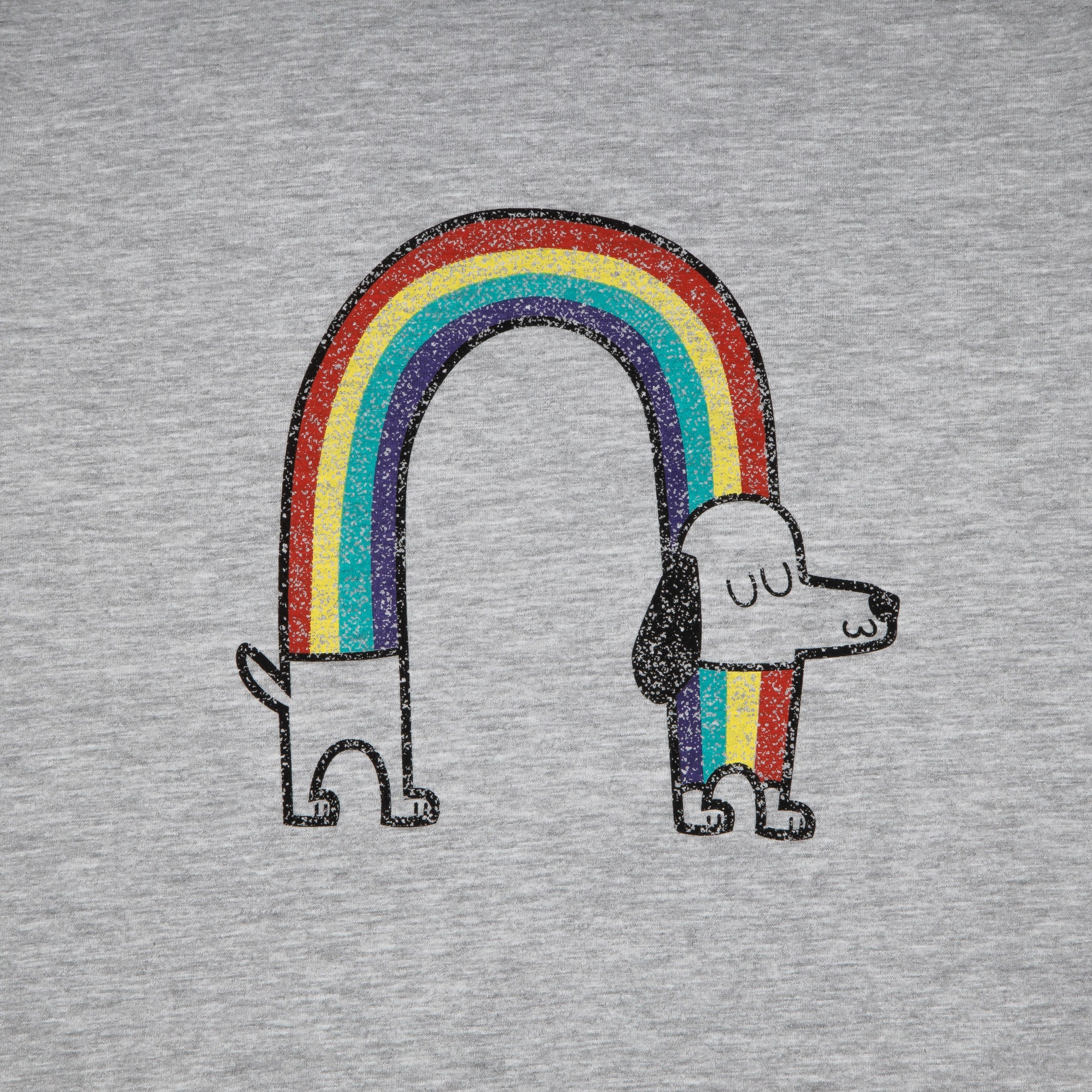 Graues T-Shirt mit Regenbogen und Dackel