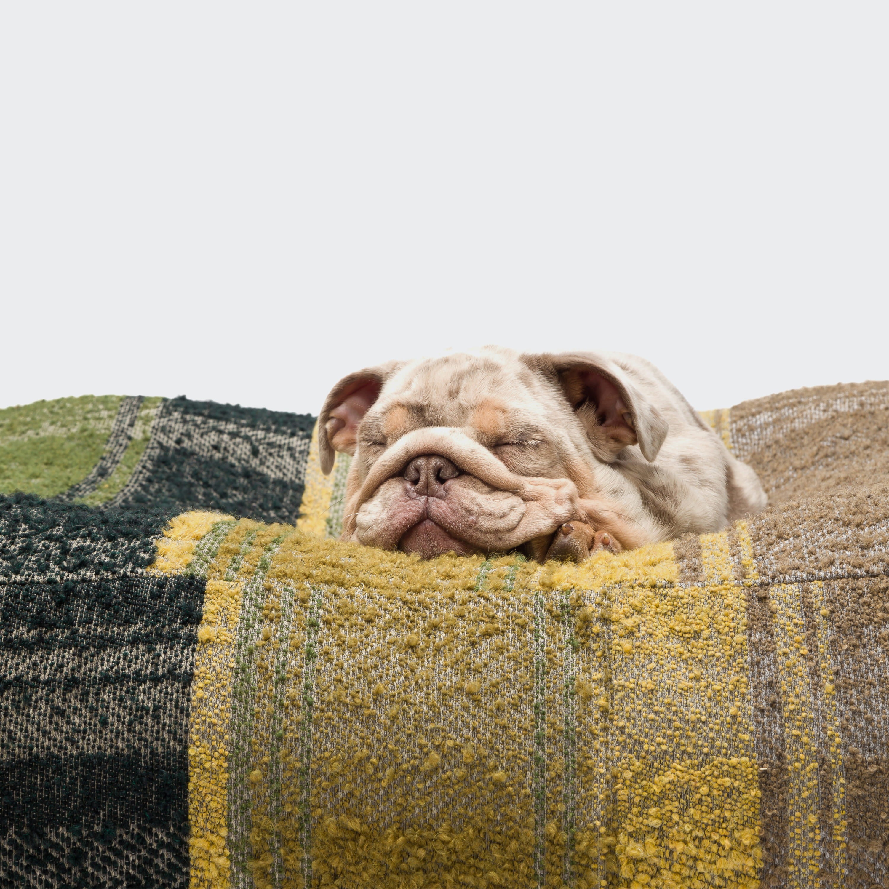 Hundebett Cube Tartan Green