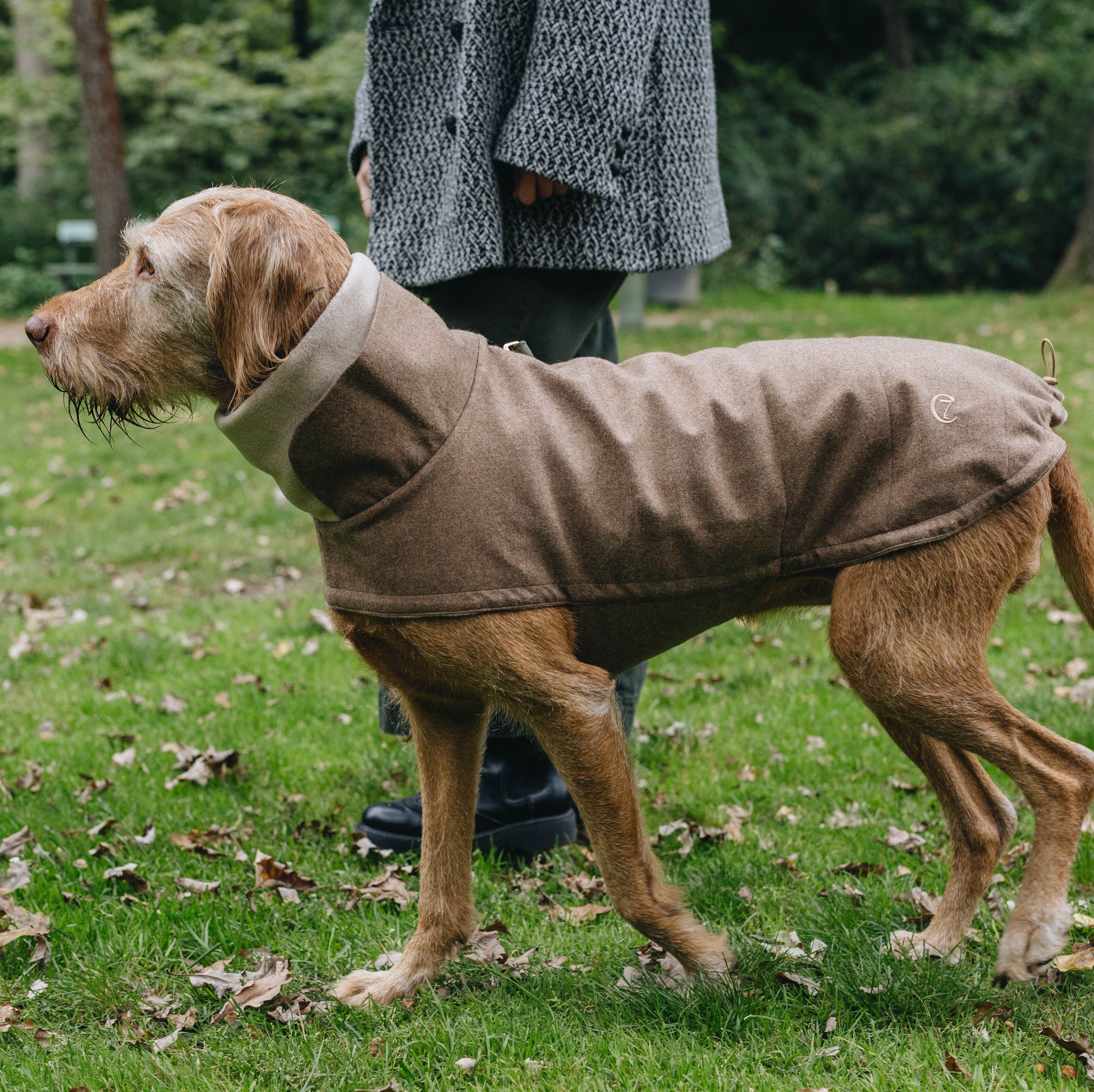 Hundemantel Brooklyn Flanell Hazel