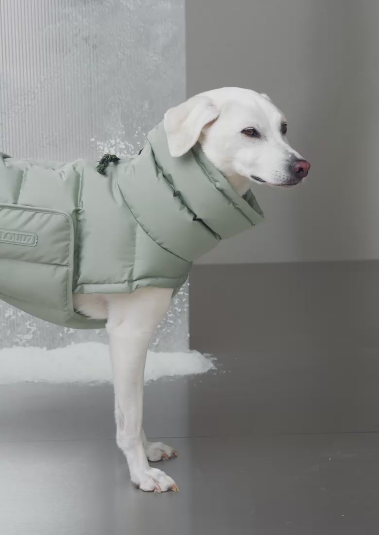 Toko　Dog Coat Alaska ドッグコート アラスカ Dog Coat Alaska Sandy Brown | CLOUD7