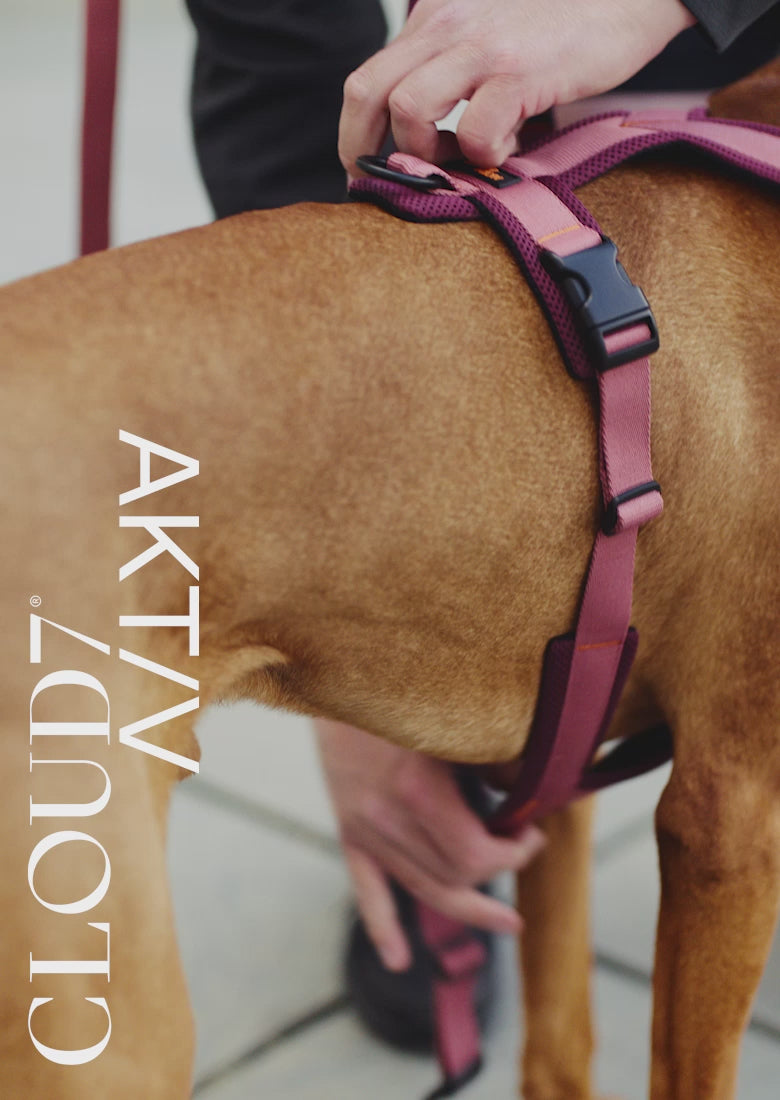 L-1 Hands-Free Leash AKTIV Khaki/Grey | CLOUD7