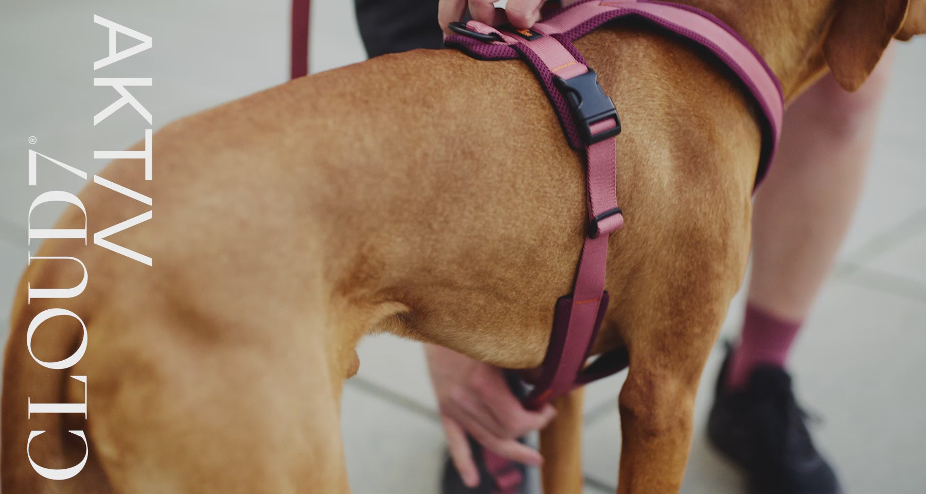 L-1 Hands-Free Leash AKTIV Khaki/Grey | CLOUD7