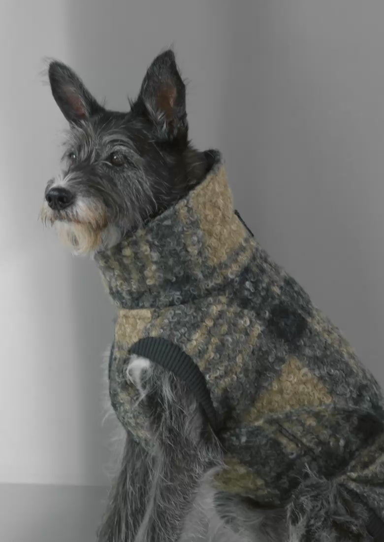 Dog Sweater Gotland Anthra | CLOUD7
