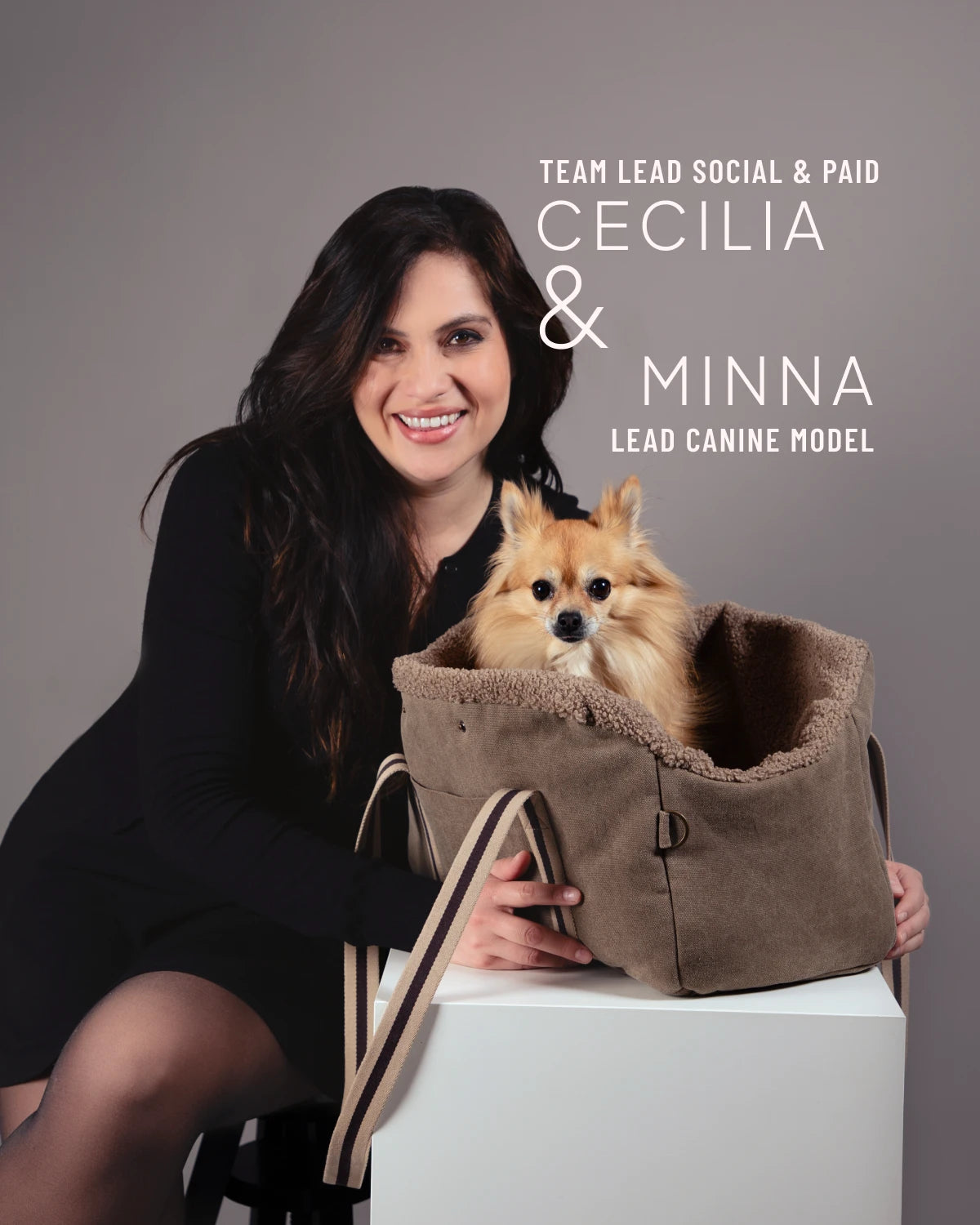 CLOUD7_ Eine lächelnde Frau in einem schwarzen Kleid sitzt neben einem kleinen, hellbraunen Hund, der in einer weichen, braunen Tasche sitzt. Der Text hinter ihnen stellt Cecilia als Teamleiterin und Minna als das führende Hundemodel vor.