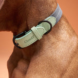 Hundehalsband Madeira Mint