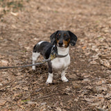 Hundehalsband Tiergarten Taupe