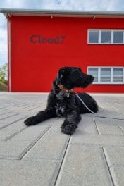 Matti bei Cloud7