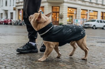 Cloud7 Dog Raincoat London Fr. Bulldog Slate