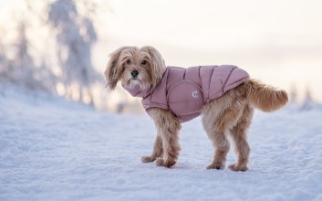 Hundemantel Alaska Dusty Rosé