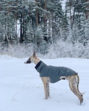 Dog Coat Brooklyn Sighthound Flannel Grey