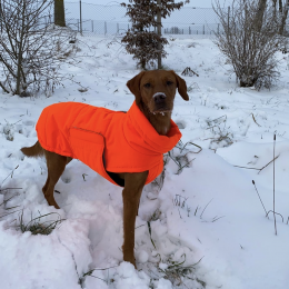 Wilma (Hundemantel Yukon Neon Orange)