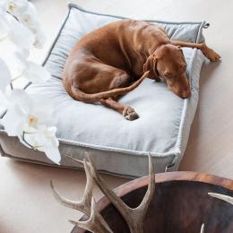Maxim (Dog Bed Cozy Light Grey)