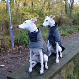 Yohji & Victor (Dog Coat Brooklyn Grey & Herringbone)