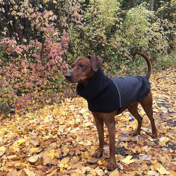 Finn (Dog Coat Oxford Flanell Anthra)