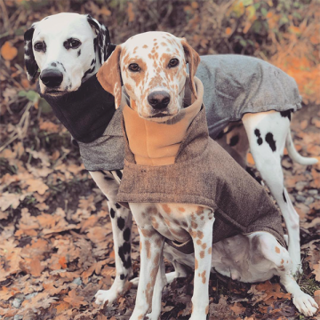 Khaleesi & Django (Dog Coat Brooklyn Grey & Hazel)