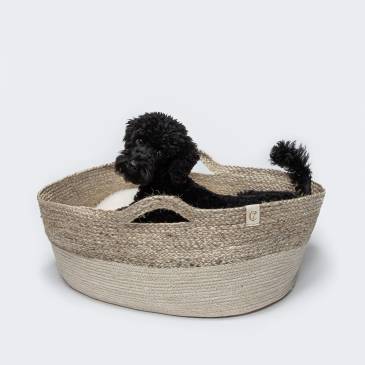 poodle in a cuddly dog basket with white fluffy pillow