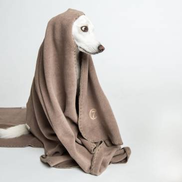 white dog with a brown fleece blanket
