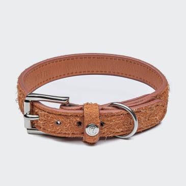 Orange suede leather dog collar