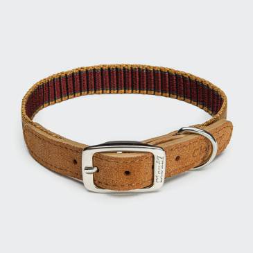 Dog collar made from webbing and velours leather with stripes in summery colours