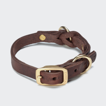 Dog Collar Riverside Park Saddle Brown Gold