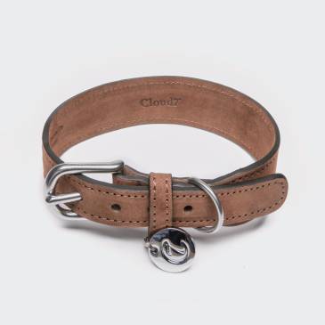 Brown dog leather collar with silver details