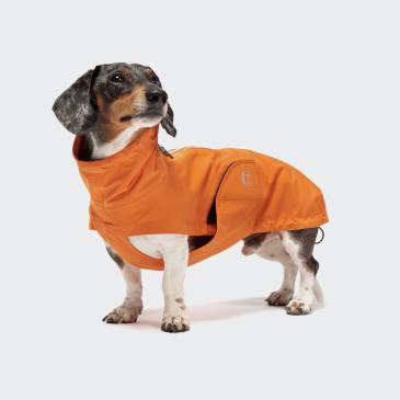 Hunderegenmantel Dackel Dublin Orange