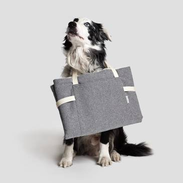 Bordercollie trägt faltbares graues Hundereisebett mit Henkeln um den Hals