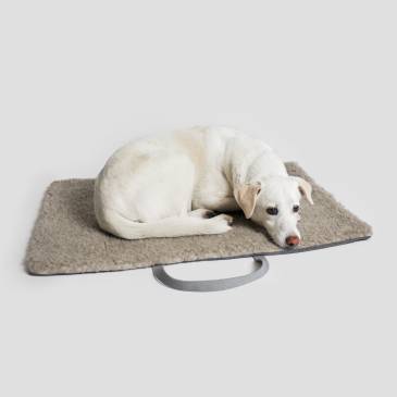 Weißer Mischling liegt auf dunkelgrauem Hundereisebett mit Henkeln und kuscheligem Innenfutter